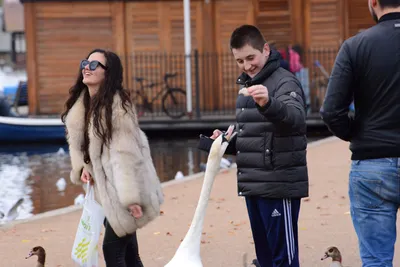 DSC_0664 (Large).JPG